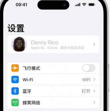 从化appleID维修服务iPhone设置中Apple ID显示为灰色无法使用 