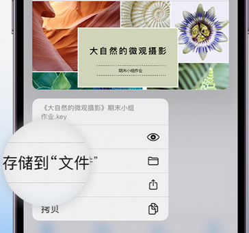 从化apple维修中心分享iPhone文件应用中存储和找到下载文件