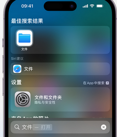 从化apple维修中心分享iPhone文件应用中存储和找到下载文件