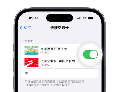 从化apple维修点分享iPhone上更换Apple Pay快捷交通卡手绘卡面 