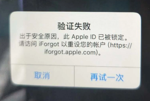 从化iPhone维修分享iPhone上正常登录或使用AppleID怎么办 