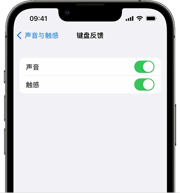 从化苹果14维修店分享如何在 iPhone 14 机型中使用触感键盘 