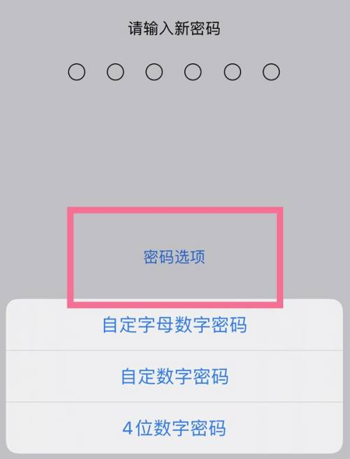 从化苹果14维修分享iPhone 14plus设置密码的方法 