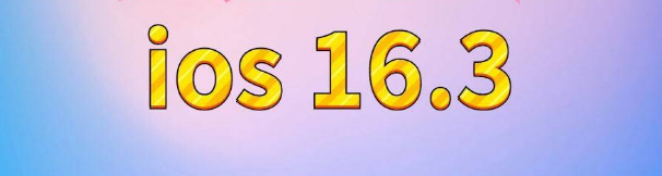 从化苹果服务网点分享苹果iOS16.3升级反馈汇总 