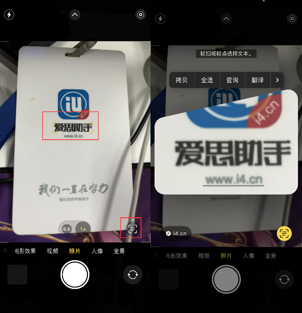 从化苹果手机维修分享升级iOS 16后如何通过相机翻译文本 