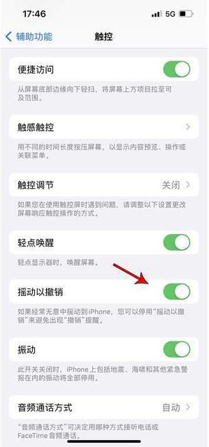 从化苹果手机维修分享iPhone手机如何设置摇一摇删除文字 