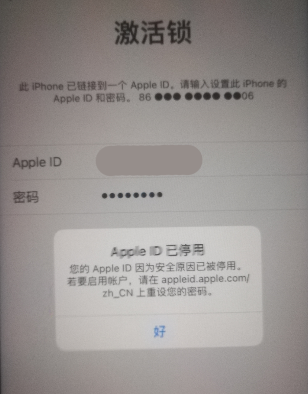 从化苹果手机维修分享iPhone 12 出现提示“Apple ID 已停用”怎么办 