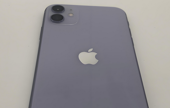 从化苹果11系统维修分享iPhone11手机系统崩溃无法开机如何解决